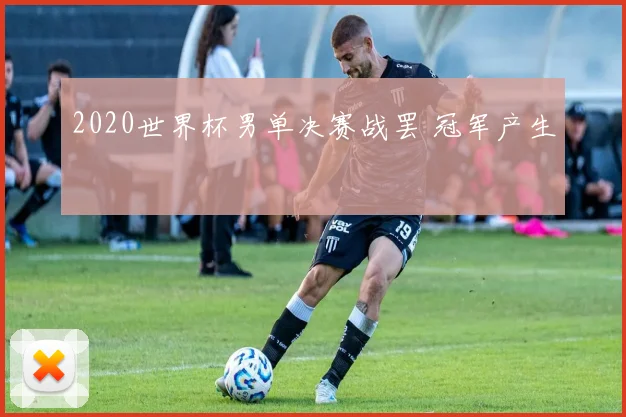 2020世界杯男单决赛战罢 冠军产生